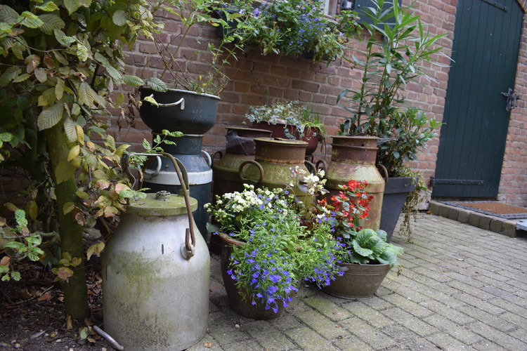 Ouderen